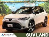 純正10型ナビ 全周囲カメラ ブラインドスポットモニター ETC
