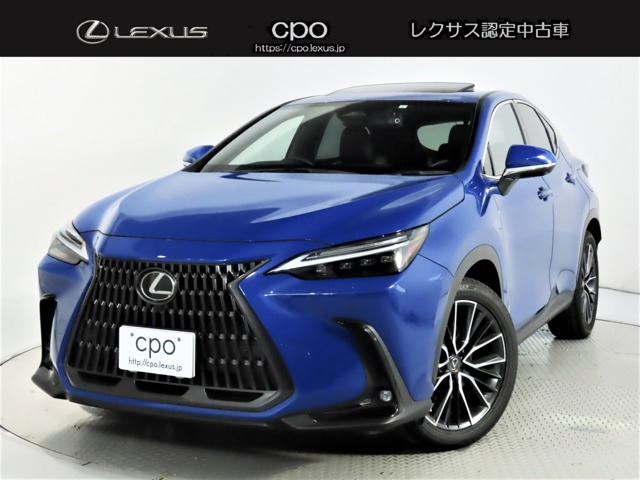 NX 250 バージョンL 4WD