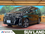 9型純正ナビ 後席モニター バックカメラ 100V電源 レーダークルーズ