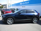 大きすぎず小さすぎず使い勝手の良いSUV!
