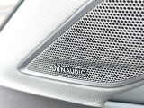 ●DYNADIOサラウンドシステム:モデル毎に最適な調整が施された、人気のサウンドシステムです。通常のスピーカーと比較しても音の広がりが感じられます。是非ご来店の上ご体感ください。