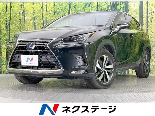 NX 300h Iパッケージ 
