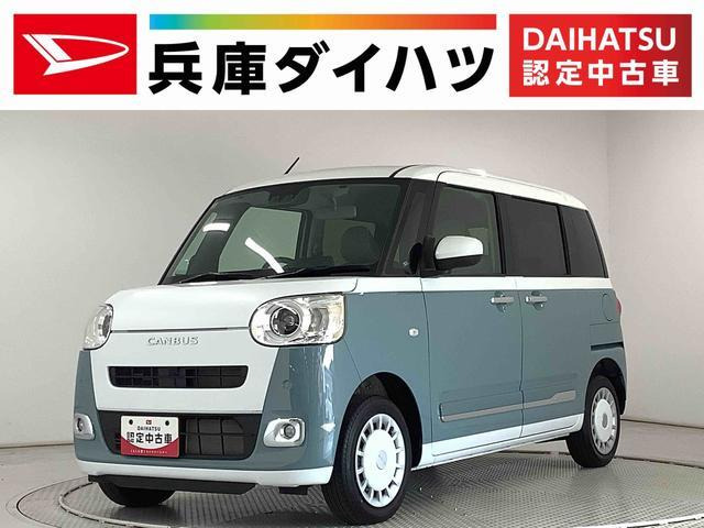 ムーヴキャンバス ストライプス G