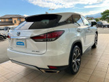 RX 300 