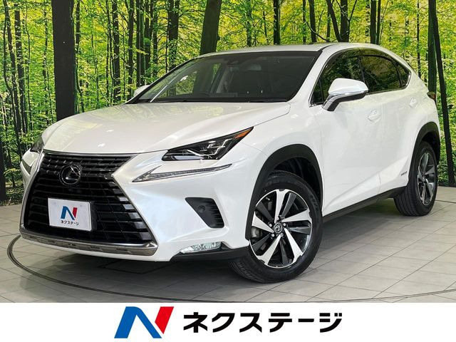 NX300h バージョンL