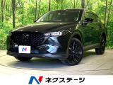 10.25型ディスプレイ 全周囲カメラ 衝突軽減 レーダークルーズ