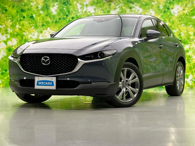 CX-302.0 20S プロアクティブ ツーリングセレクション 4WD