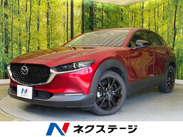 CX-302.0 20S ブラックトーンエディション