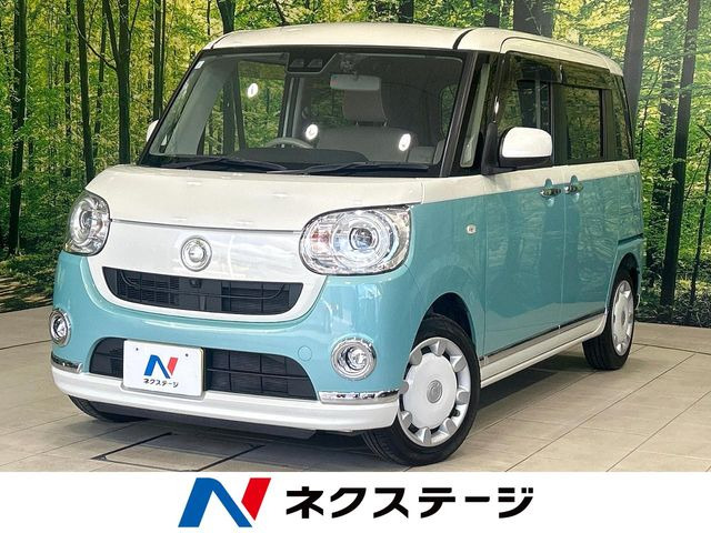 ムーヴキャンバス G メイクアップ リミテッド SAIII 