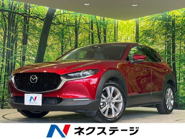 CX-302.0 20S プロアクティブ