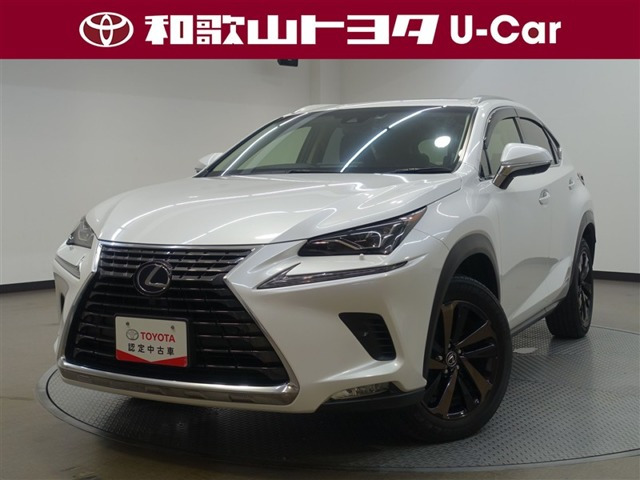NX 300h バージョンL 