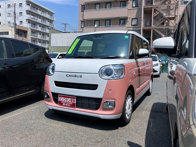 ムーヴキャンバス  ストライプス G