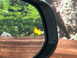 【ブラインドスポットモニター】走行中、ドアミラーの死角になりやすい箇所に後続車が接近するとサイドミラーのレンズに警告を表示!ドライバーに注意喚起をしてくれます。