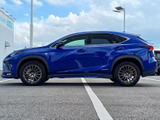 NX 300h Fスポーツ 