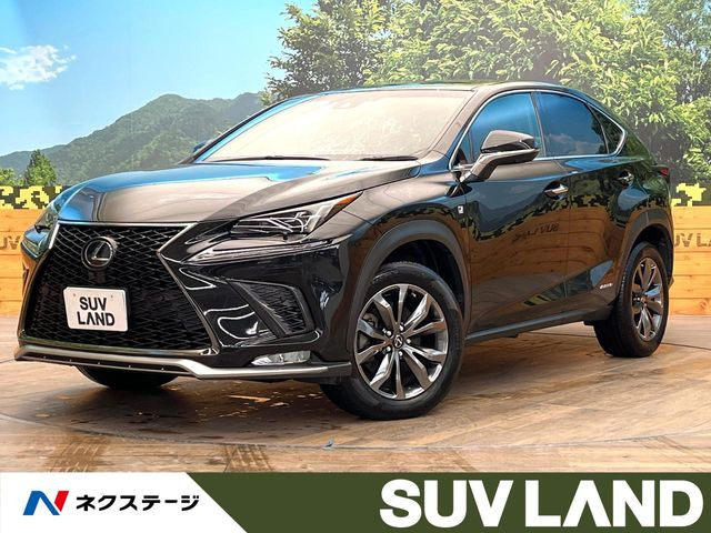 NX 300h Fスポーツ 