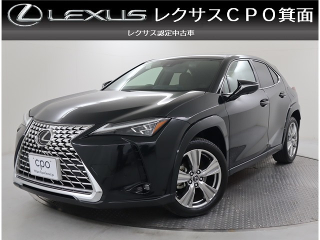 UX 250h グレイスフル エクスプローラー 