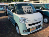 ムーヴキャンバス  ストライプス G