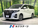 両側電動ドア BIGーX 後席モニター バックカメラ レーダークルーズ