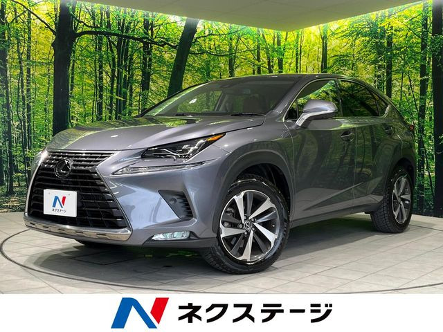 NX 300 バージョンL 
