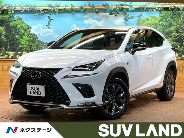 NX 300h Fスポーツ 