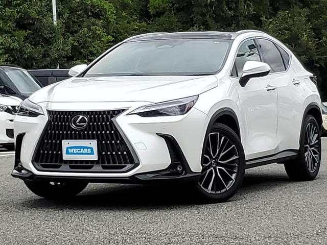 NX250 バージョンL