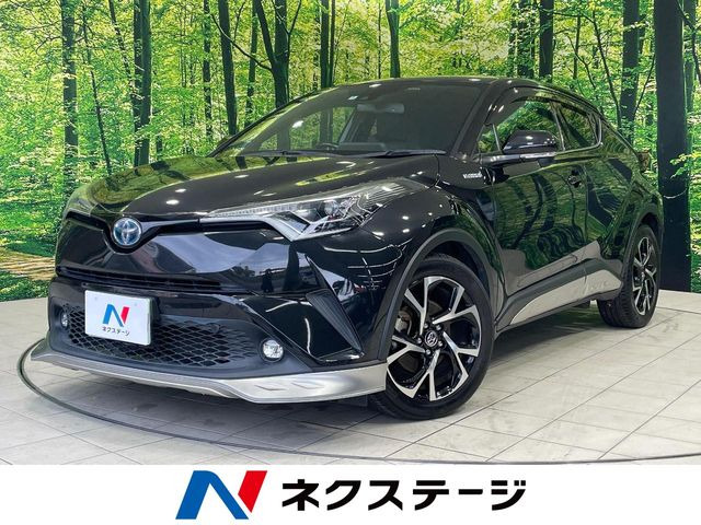 C-HR  G