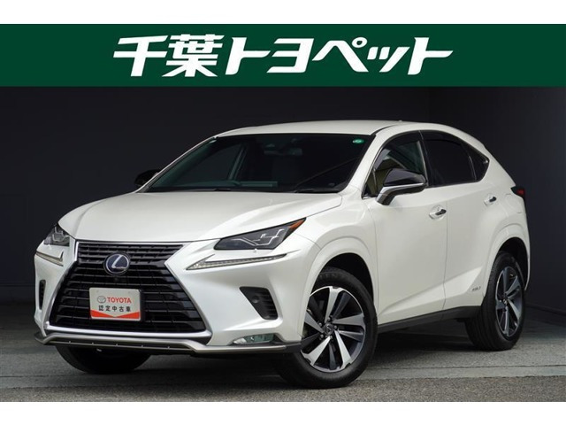 NX300hスパイス&シック
