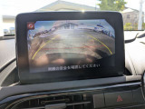 オプション商品も承っております!ご要望などございましたらぜひお申し付けください◎