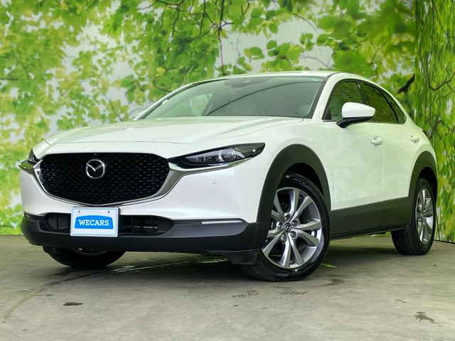 CX-301.8 XD Lパッケージ