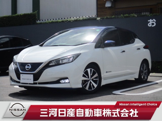 リーフ X 