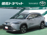 大人気のセメントグレーメタリックが入庫しました!