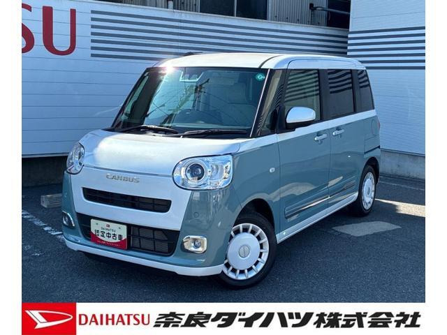 ムーヴキャンバス  ストライプス G