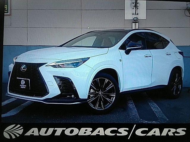 NX350 Fスポーツ 4WD