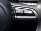ミリ波レーダーで先行車との速度差や車間距離を認識。設定した車速内での車間距離を自動で調整・維持して、アクセル・ブレーキの操作なしで長距離ドライブの負担も軽減してくれます。