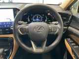 NX 250 バージョンL 本革シート サンルーフ