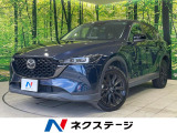純正SDナビ 全周囲カメラ 衝突被害軽減システム レーダークルーズ