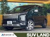 SDナビ バックカメラ 両側パワスラ レーダークルーズ