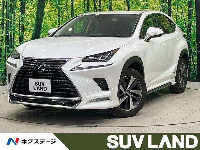 NX 300h バージョンL 