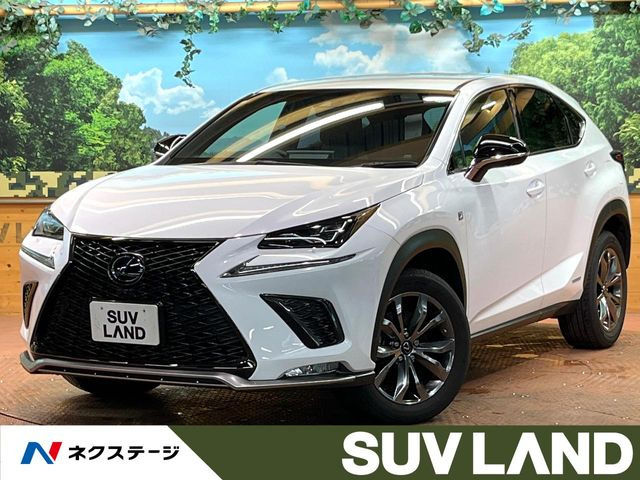 NX300h Fスポーツ