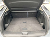 バックドアが大きく開くので荷物の積み下ろしが楽にできます!