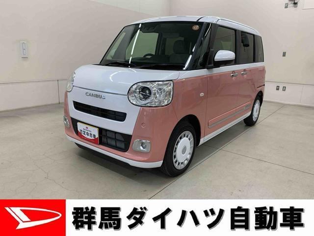 ムーヴキャンバス  ストライプス G