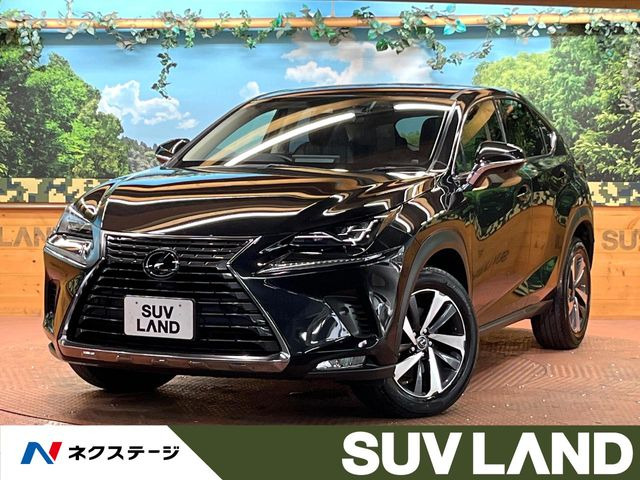 NX300 バージョンL