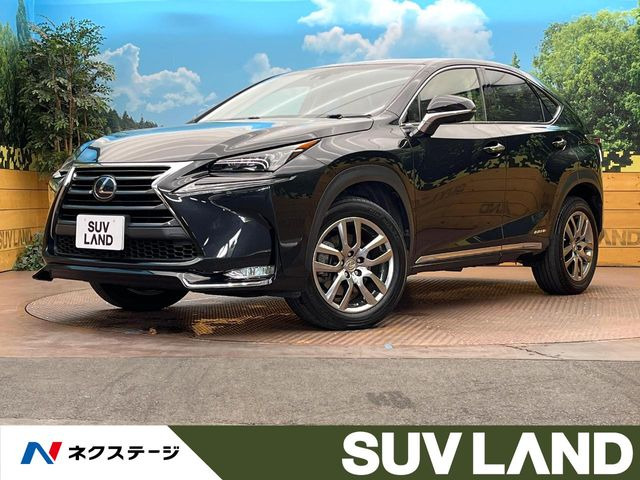 NX300h バージョンL
