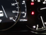 撮影時の走行距離は「17124Km」になります。