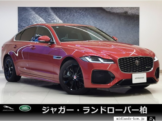 XFRダイナミック SE 2.0 P250