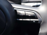 ミリ波レーダーで先行車との速度差や車間距離を認識。設定した車速内での車間距離を自動で調整・維持して、アクセル・ブレーキの操作なしで長距離ドライブの負担も軽減してくれます。