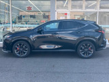 NX 350h Fスポーツ 