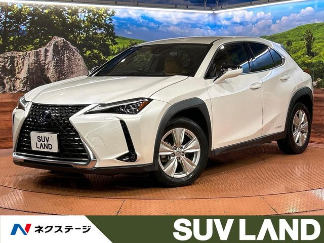 UX 250h バージョンC 