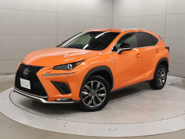 NX 300h Fスポーツ 