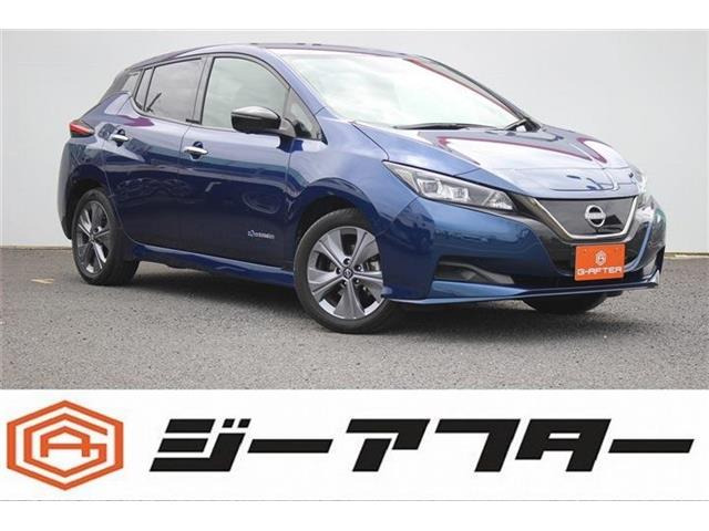 リーフe+ アーバンクロムOPブラック革シート Boseサウンド メーカー